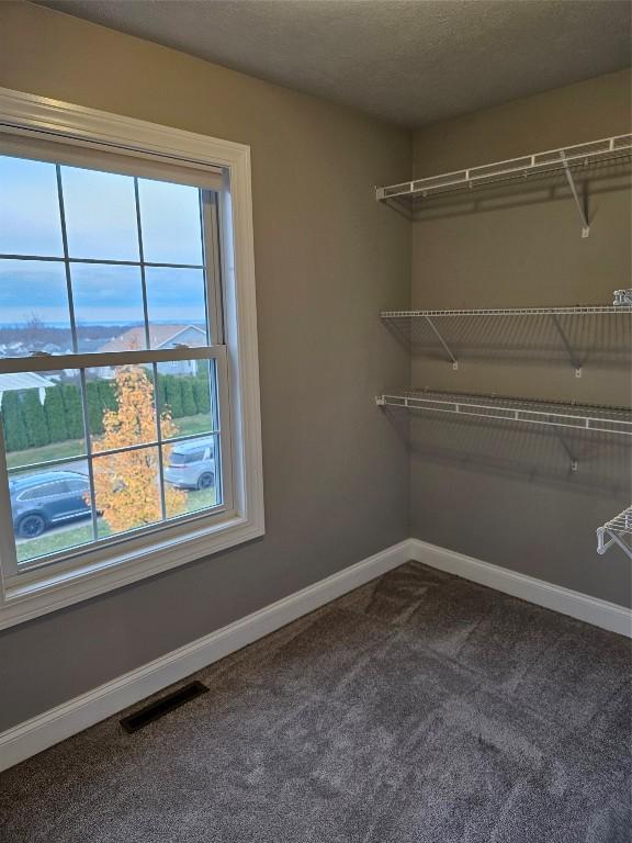 spacious closet featuring carpet floors