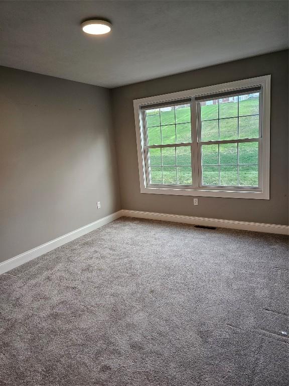 empty room with carpet flooring