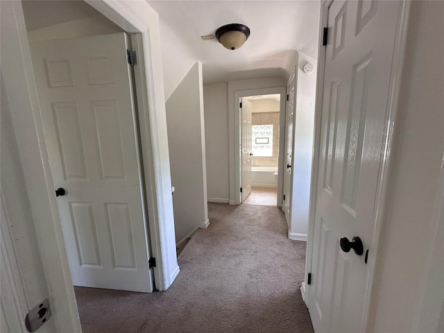 3010 Oakwood St, Erie, PA 16508 - photo 13