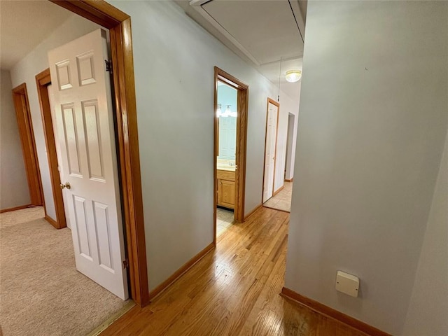 5116 Clinton St, Erie, PA 16509 - photo 7
