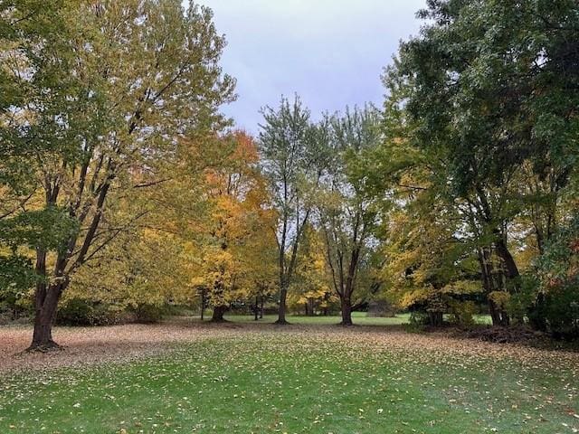 1233 Gunton Dr, Fairview, PA 16415 - view of grassy yard