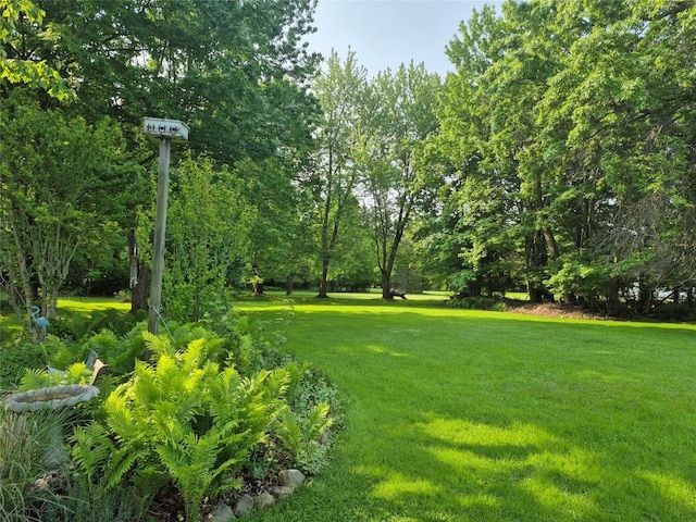 1233 Gunton Dr, Fairview, PA 16415 - view of green lawn