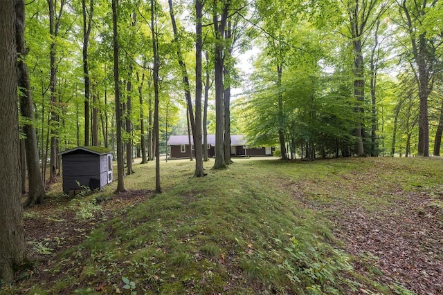 view of yard featuring a storage shed