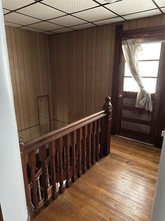 stairway featuring wood-type flooring, a drop ceiling, and wood walls