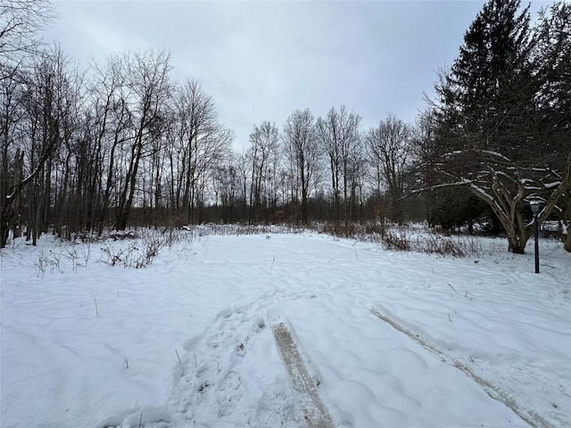 view of yard covered in snow