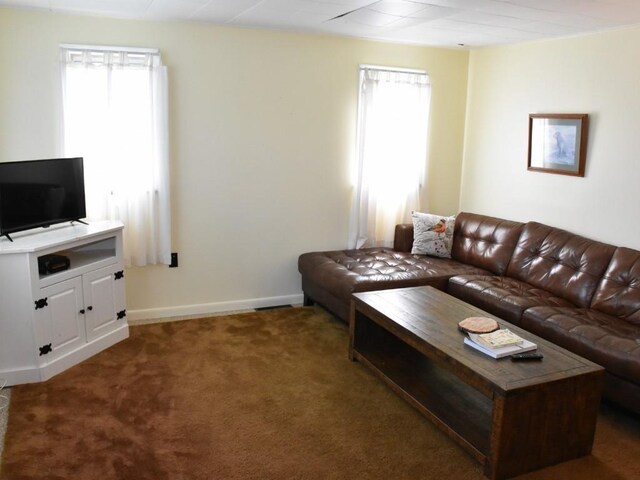 3318 County Line Rd, Cochranton, PA 16314 - carpeted living room with plenty of natural light and baseboards