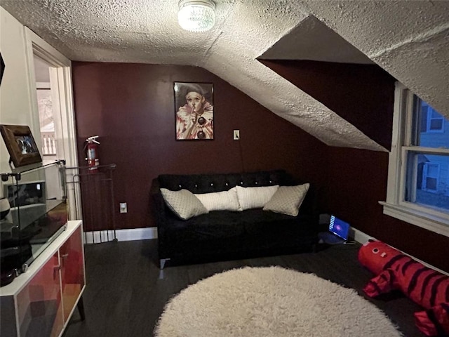 interior space with vaulted ceiling, dark hardwood / wood-style flooring, and a textured ceiling