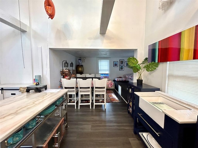 kitchen with wood counters and dark hardwood / wood-style flooring