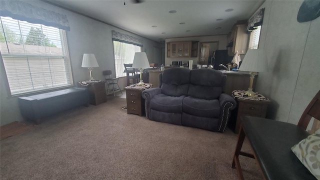 1644 Pinegrove Way, Erie, PA 16509 - living room with carpet and healthy amount of natural light