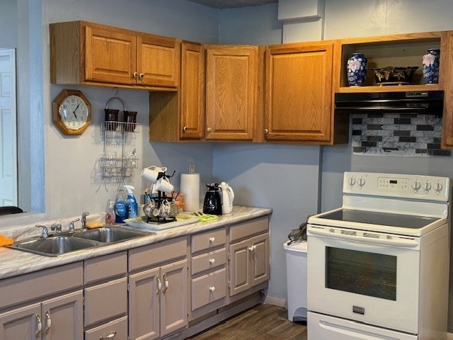 747 E 25th St, Erie, PA 16503 - kitchen featuring white electric range oven, a sink, under cabinet range hood, light countertops, and dark wood-type flooring