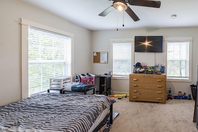 21720 Matthew Ln, Saegertown, PA 16433 - bedroom featuring multiple windows, carpet flooring, a ceiling fan, and baseboards