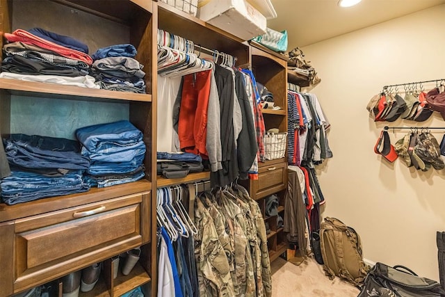 21720 Matthew Ln, Saegertown, PA 16433 - walk in closet featuring carpet flooring