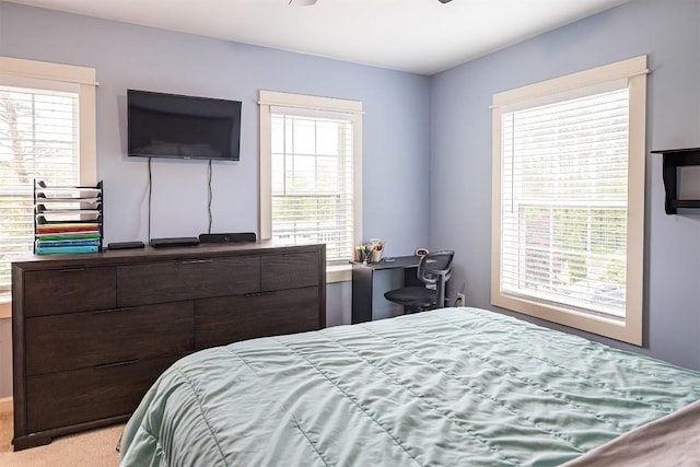 21720 Matthew Ln, Saegertown, PA 16433 - bedroom featuring light carpet