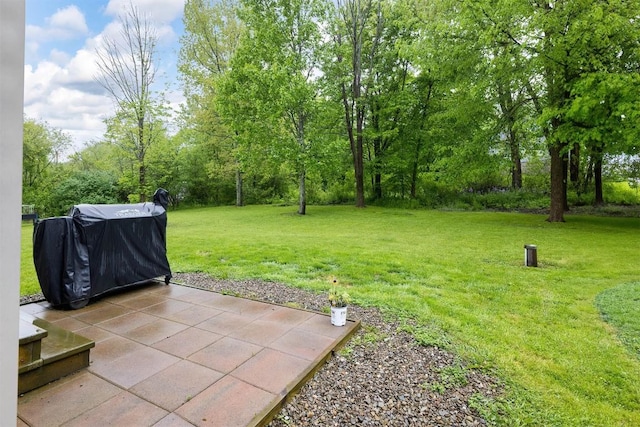 21720 Matthew Ln, Saegertown, PA 16433 - view of green lawn featuring a patio