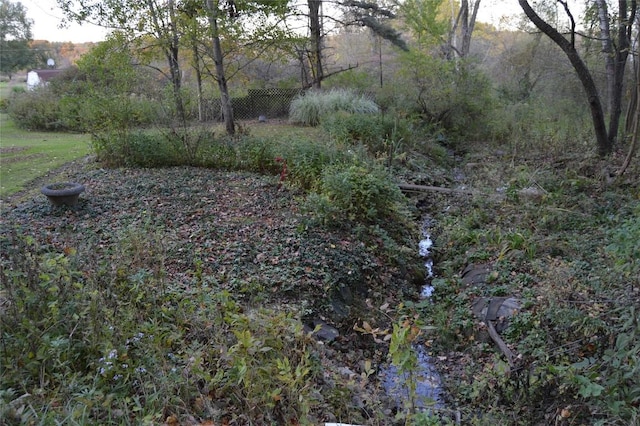 view of local wilderness