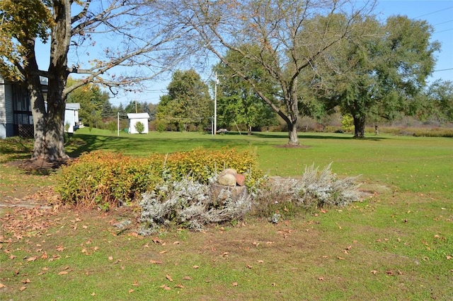 view of yard