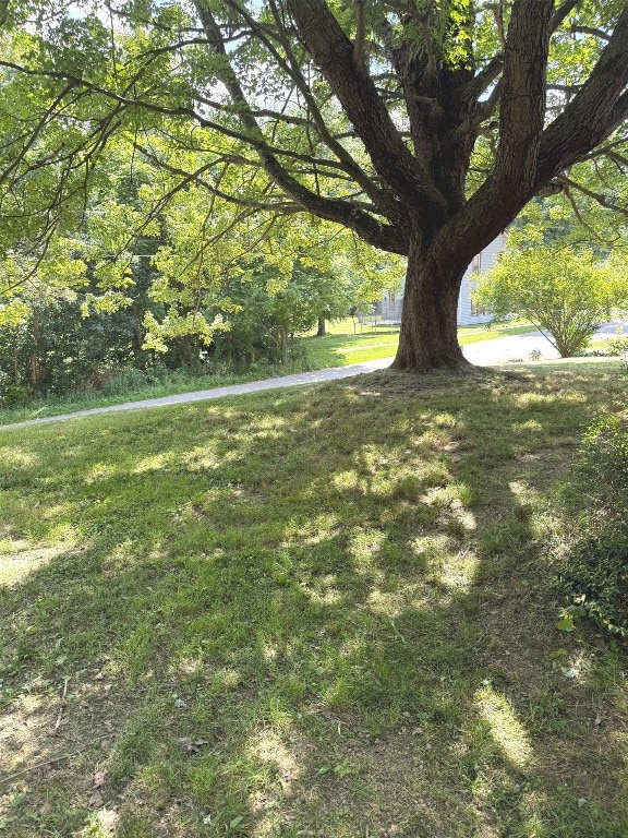 518 Spring St, Jamestown, PA 16134 - view of grassy yard