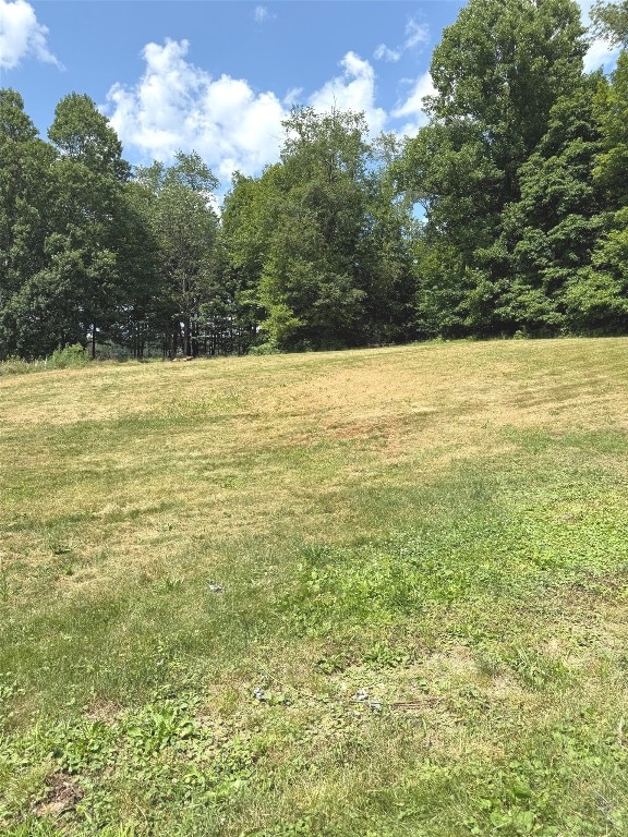 518 Spring St, Jamestown, PA 16134 - view of green lawn featuring a forest view