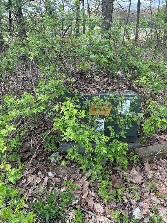 5241 Tarbell Rd, Edinboro, PA 16412 - view of nature