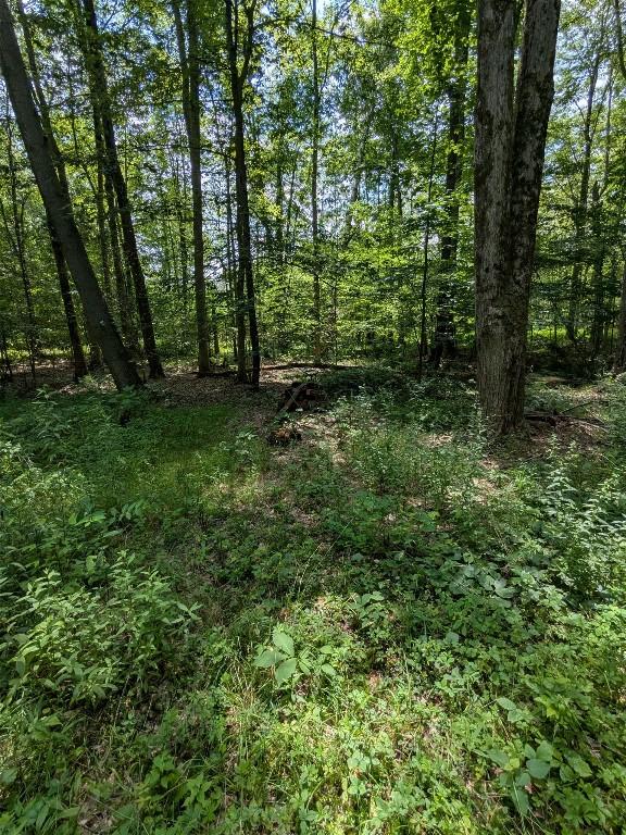0 B And B Dr, Linesville, PA 16424