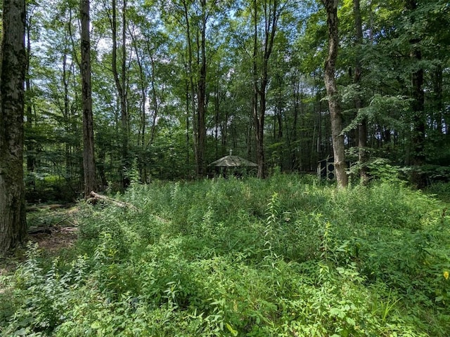 0 B And B Dr, Linesville, PA 16424