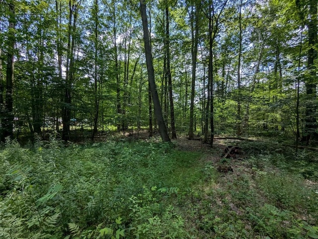0 B And B Dr, Linesville, PA 16424