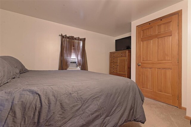 38753 Centerville Rd, Centerville, PA 16404 - view of carpeted bedroom