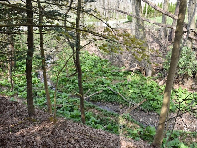 view of nature