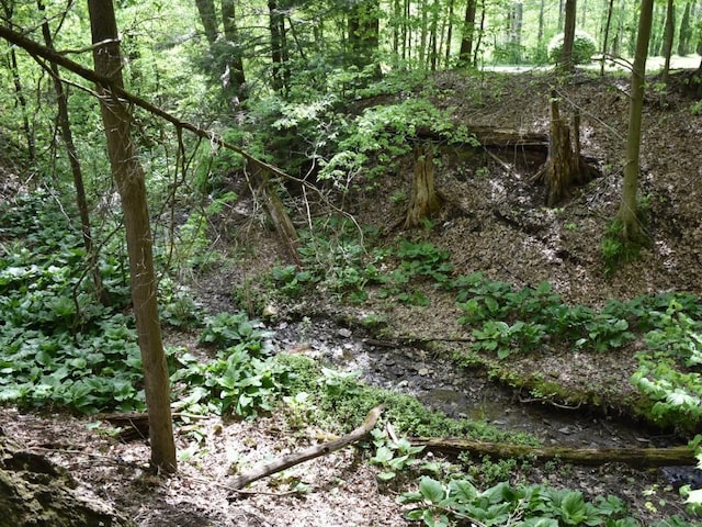 9954 Liberty Ext, Meadville, PA 16335 - view of nature