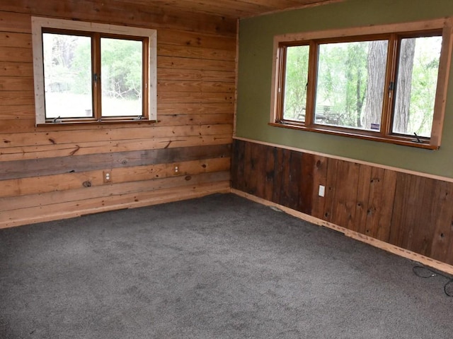 9954 Liberty Ext, Meadville, PA 16335 - spare room featuring plenty of natural light, wood walls, carpet floors, and wood ceiling