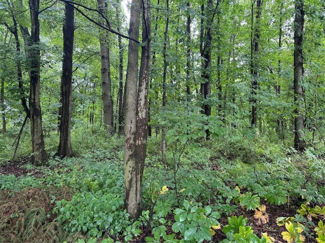 112 Willadell Rd, Pa, PA 16154 - view of tree filled area