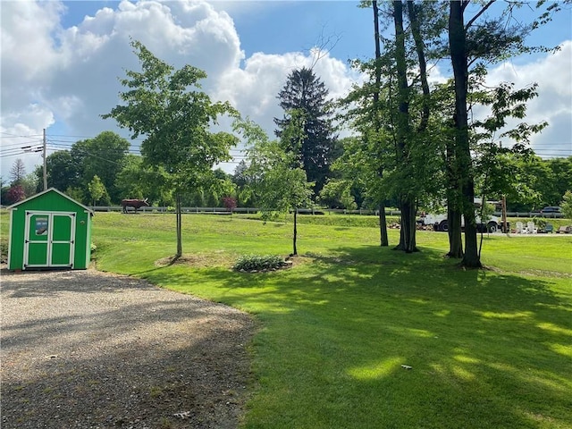 view of yard with a shed