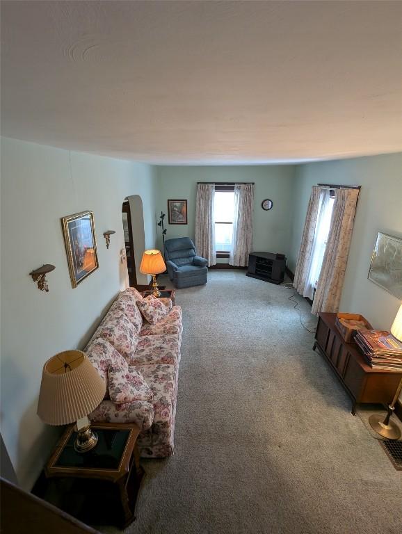 living room with carpet flooring