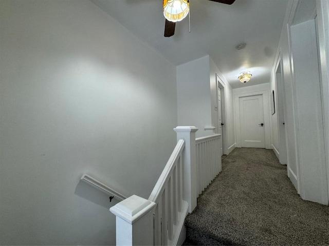 stairway featuring carpet floors