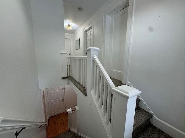 staircase with hardwood / wood-style floors