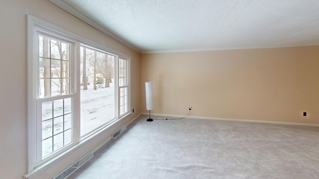 empty room with a textured ceiling, ornamental molding, and light carpet