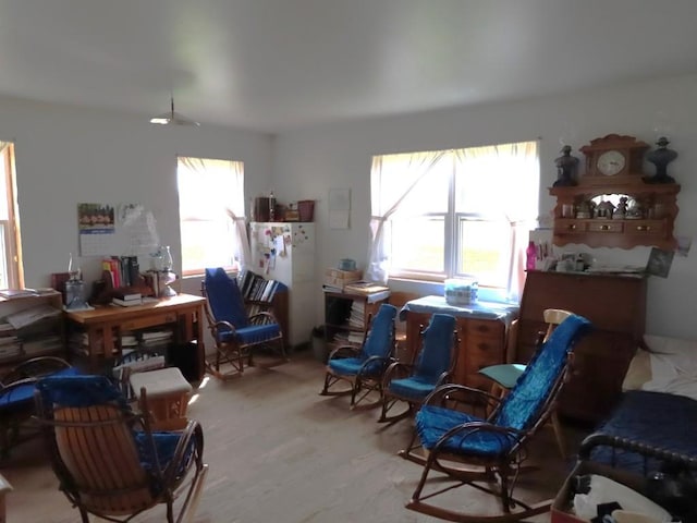 living area with light hardwood / wood-style flooring