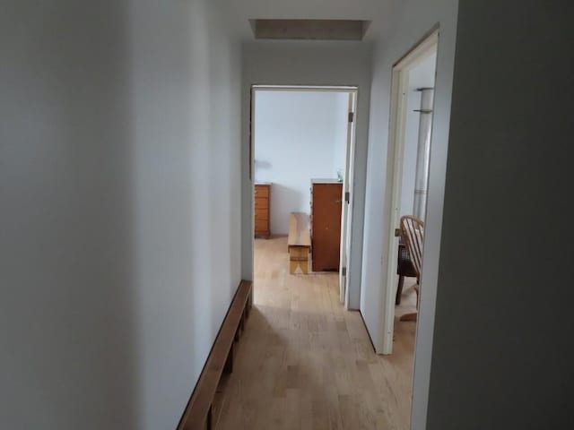 hallway featuring light hardwood / wood-style flooring