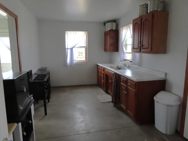 kitchen with a healthy amount of sunlight and sink