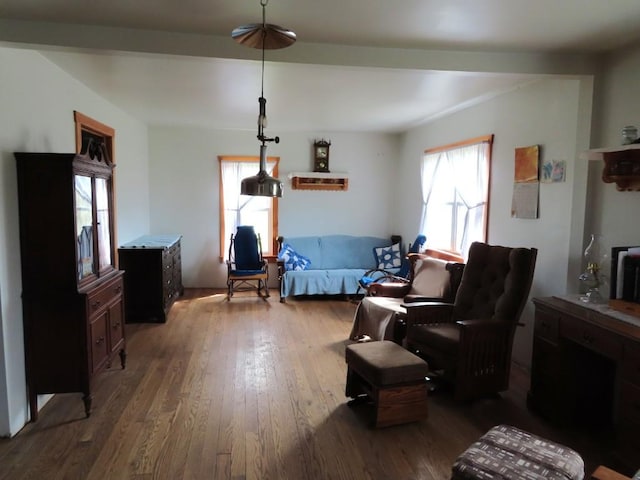 living room featuring dark hardwood / wood-style flooring and a healthy amount of sunlight