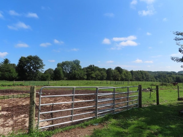 view of gate with a rural view