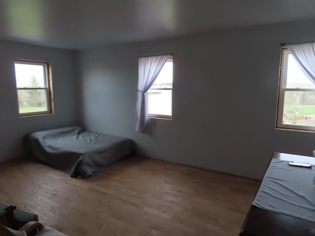 bedroom featuring hardwood / wood-style floors