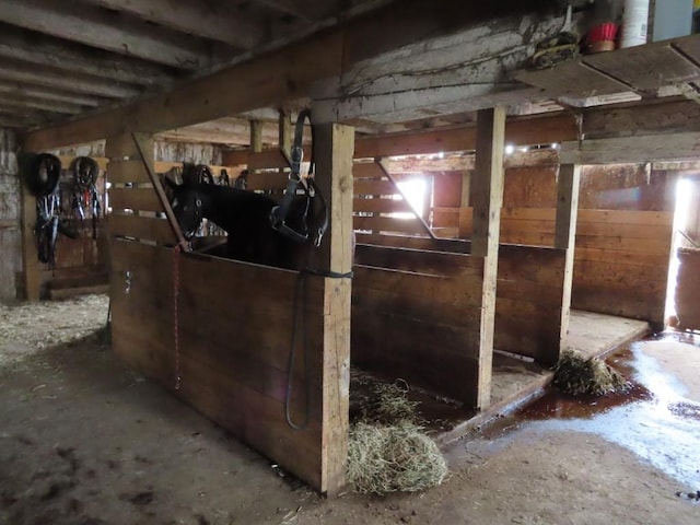 view of horse barn