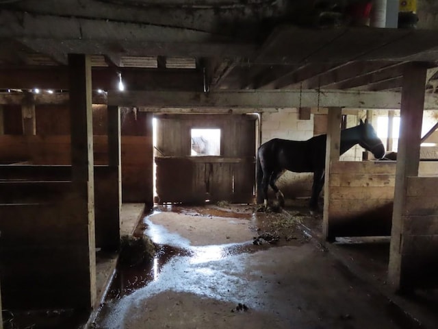 view of horse barn