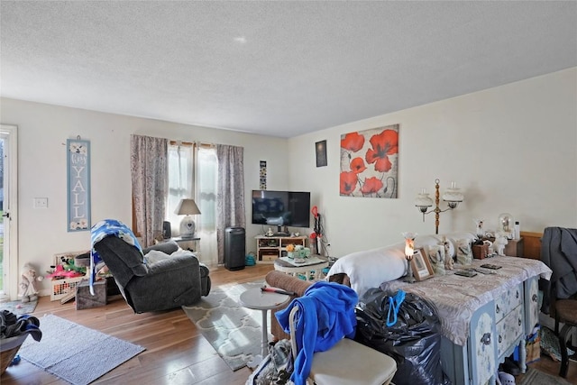 221 Pheasant Dr, Girard, PA 16417 - living room featuring wood finished floors and a textured ceiling