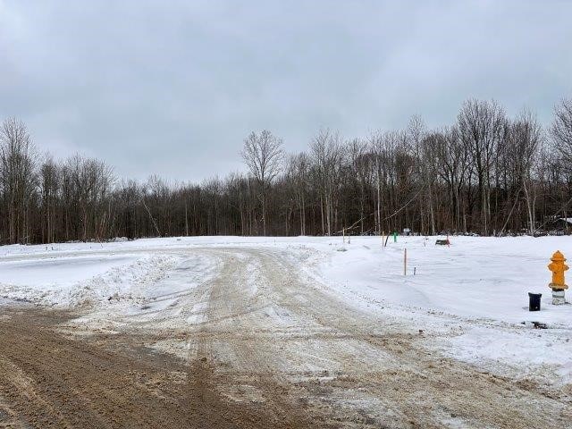 view of yard covered in snow