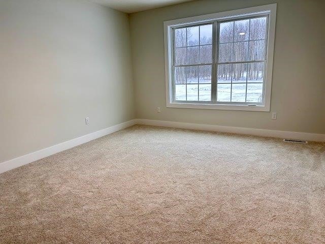 unfurnished room featuring carpet