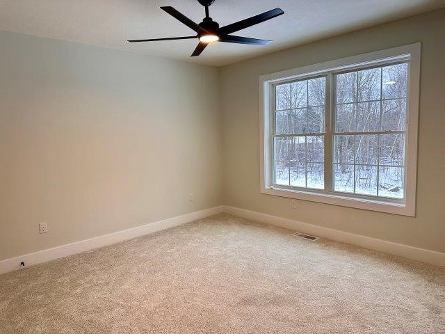 unfurnished room featuring ceiling fan and carpet floors