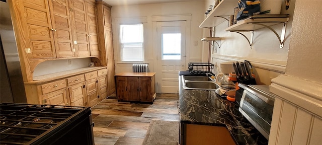 kitchen featuring radiator, sink, and hardwood / wood-style flooring