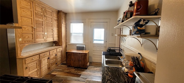 kitchen with radiator heating unit, dark wood-type flooring, and sink